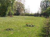 Koci, dworek i park w Koszutach - 047_koszuty-park.JPG$