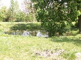 Koci, dworek i park w Koszutach - 090_koszuty_park.JPG$